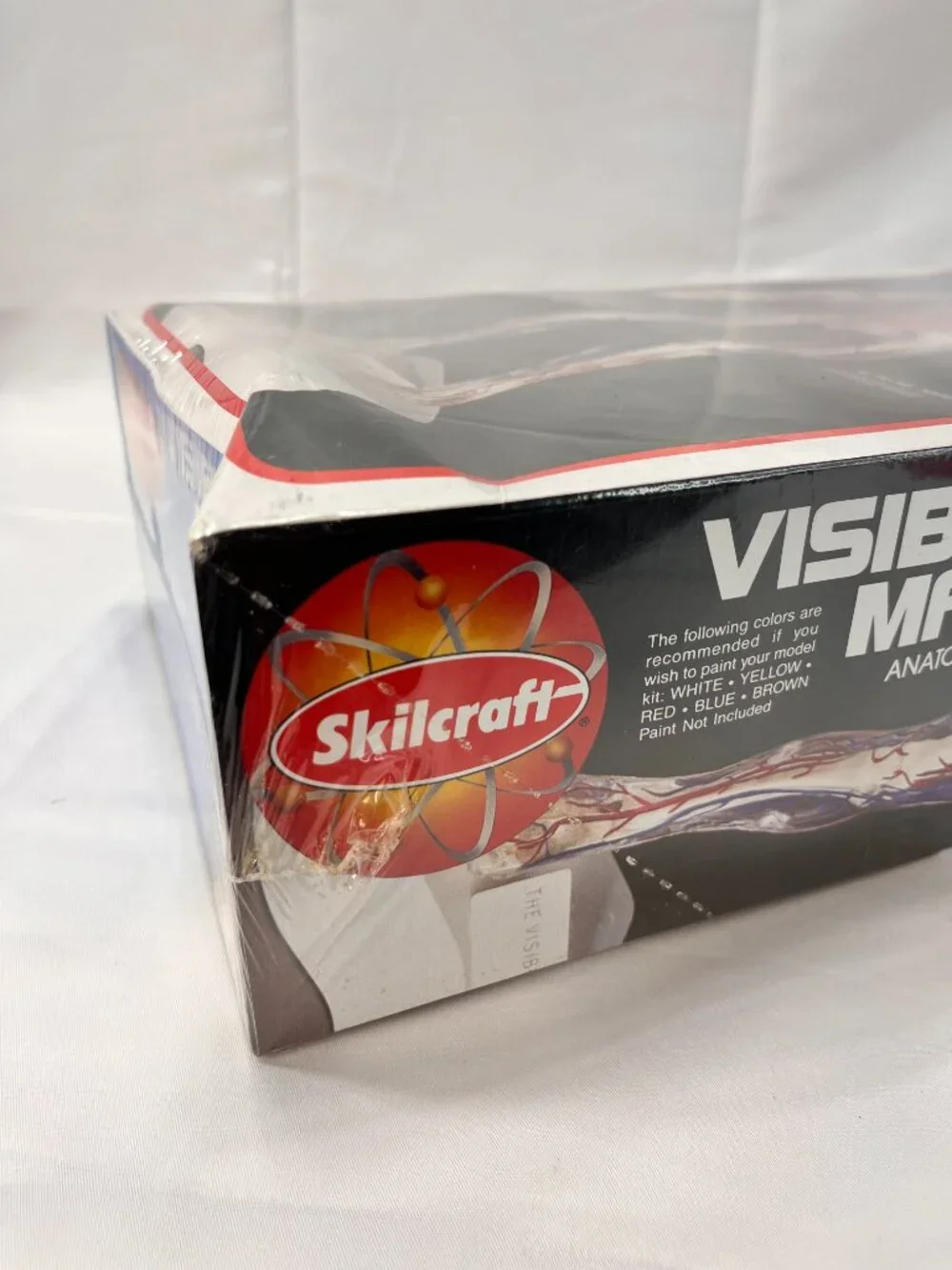 Vintage 1994 Skilcraft VISIBLE MAN Educational Anatomy Model Kit 14